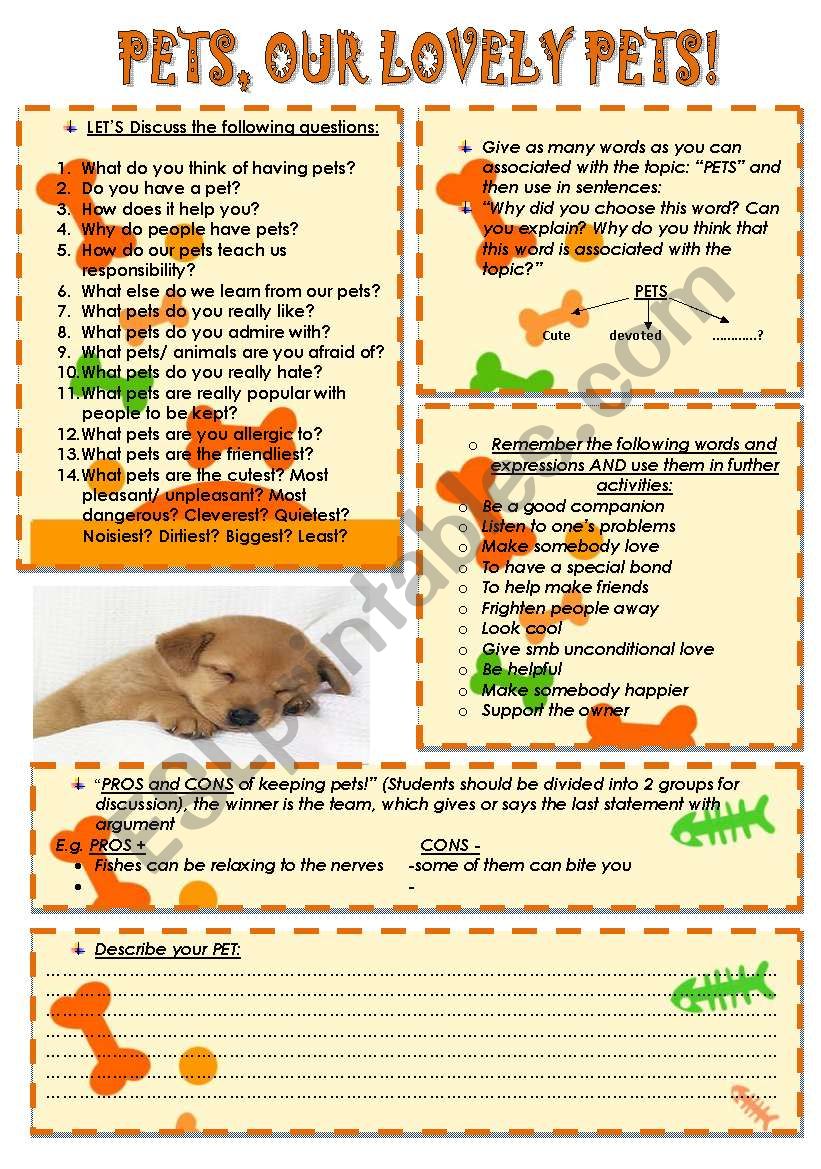 Pets, our lovely pets! worksheet