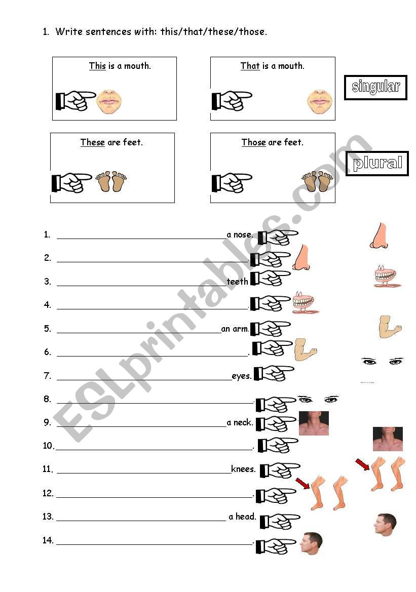 This/That/These/Those worksheet