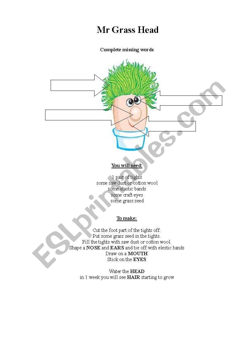 Mr Grass head - Craft worksheet