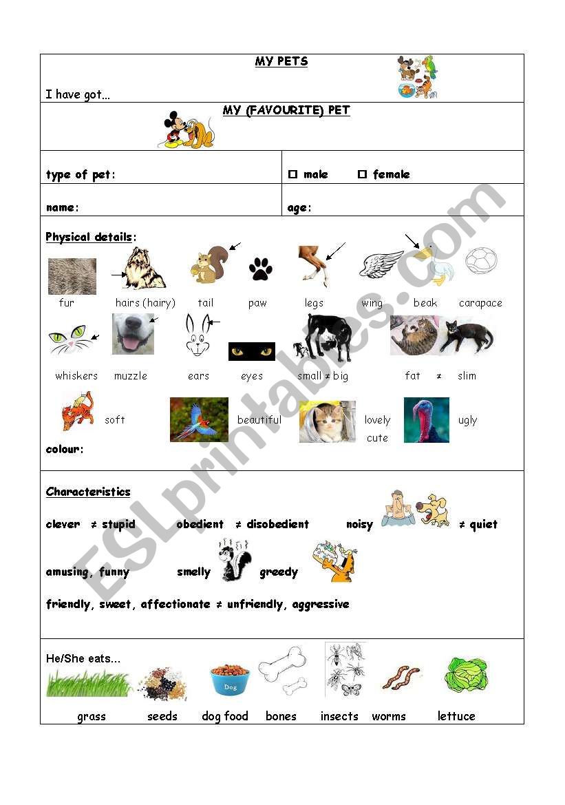 MY PET(S) worksheet