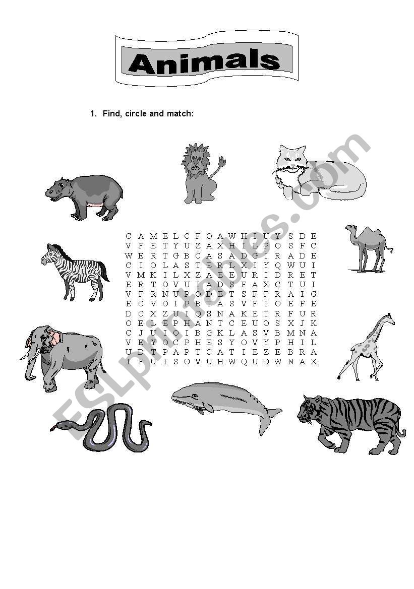 Animal - word search worksheet
