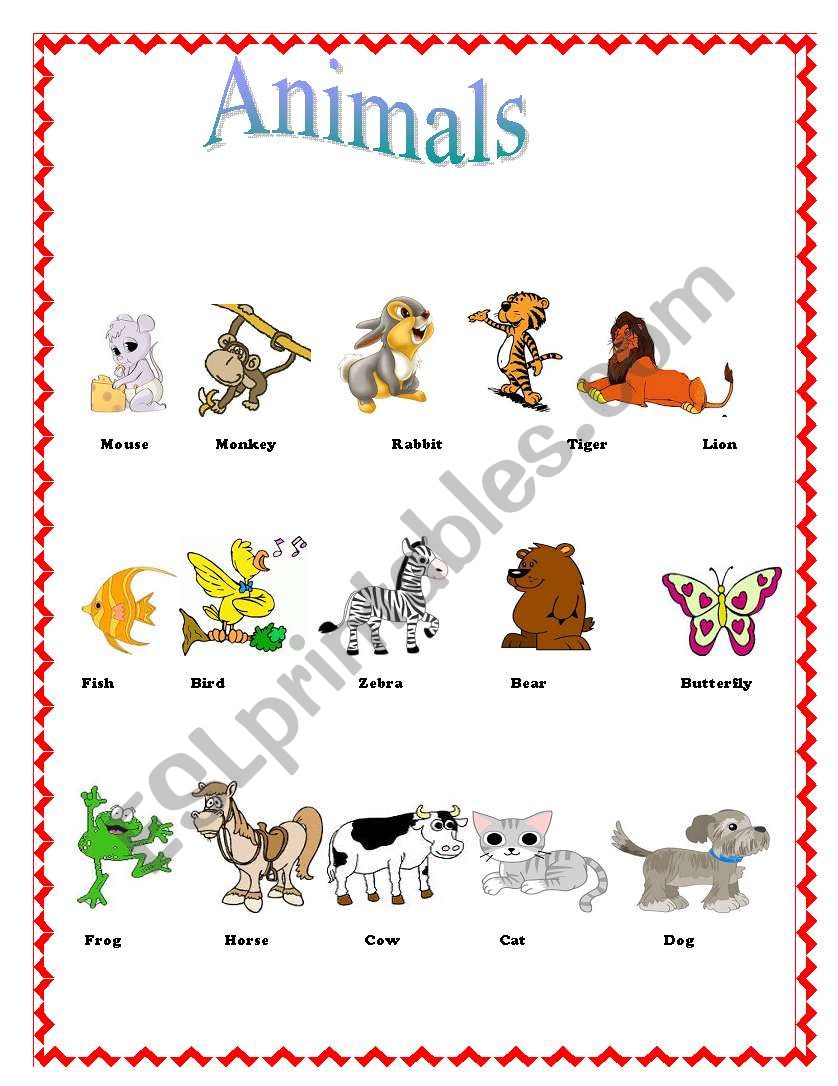 Animals worksheet