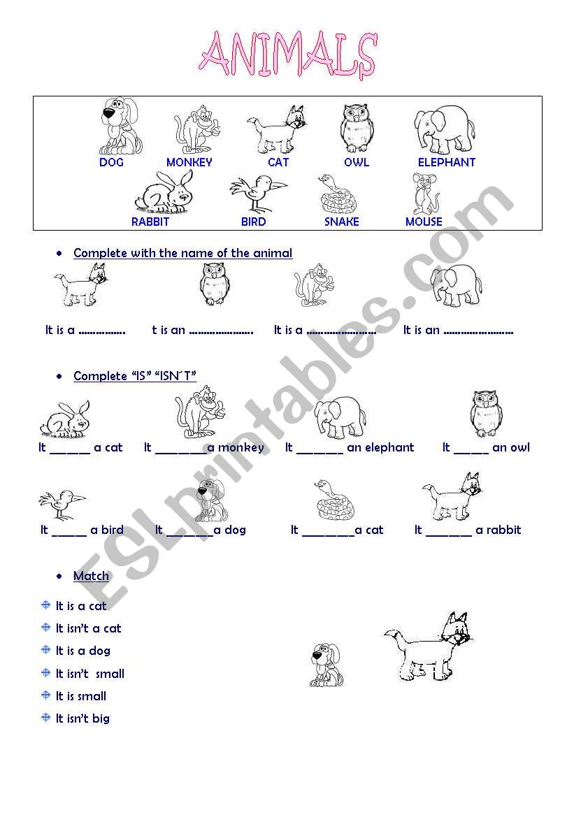 ANIMALS worksheet