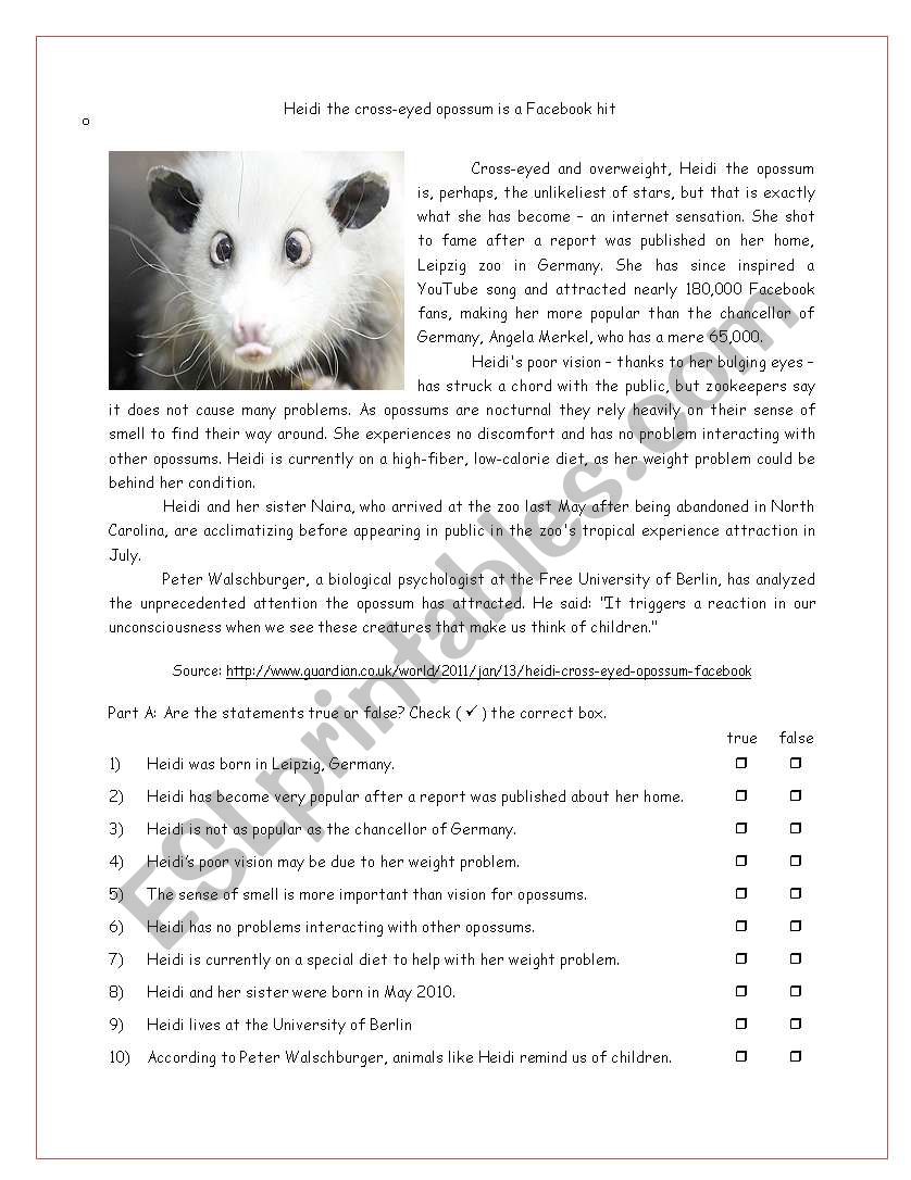 Heidi  worksheet