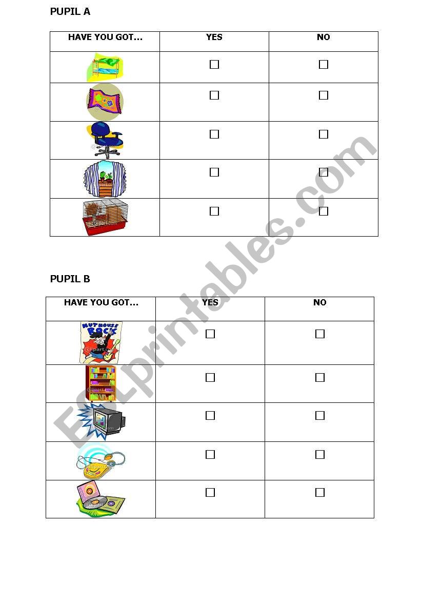 Have you got ? worksheet