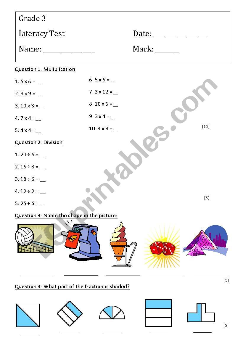 Grade 3 Maths Test worksheet