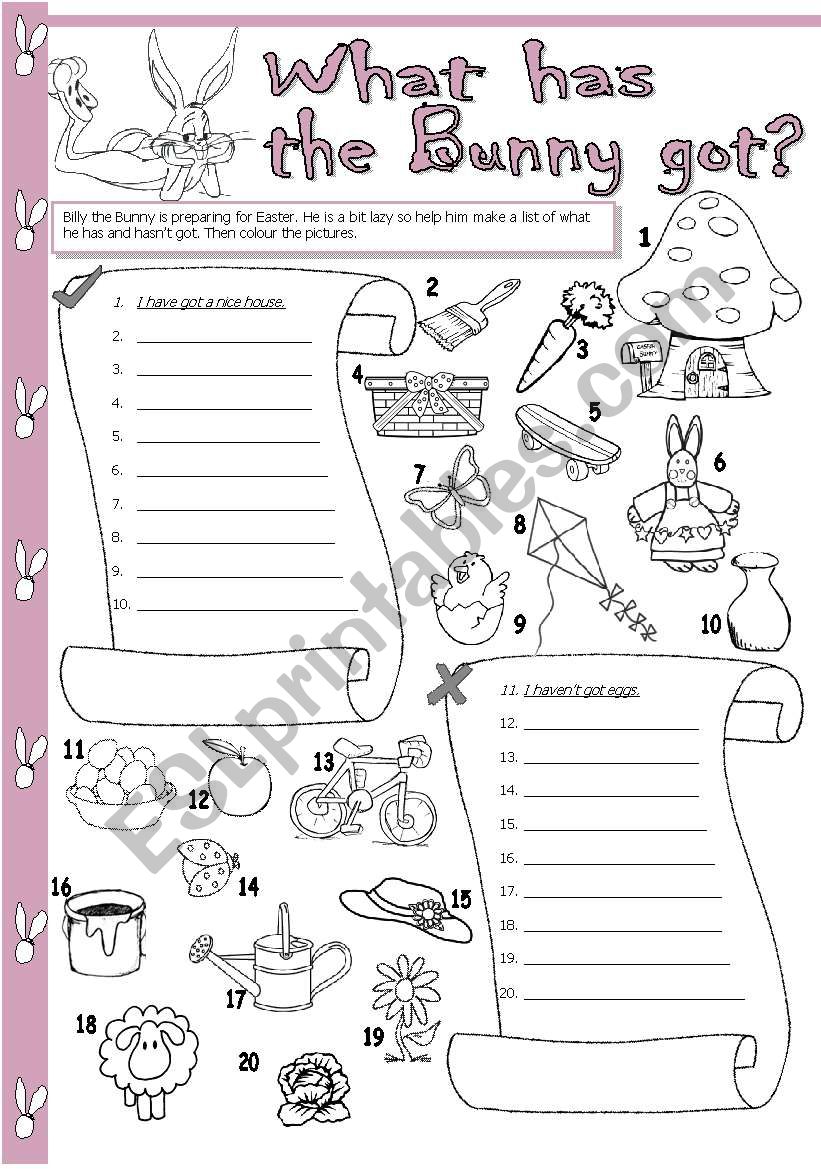 What has the Bunny got? worksheet