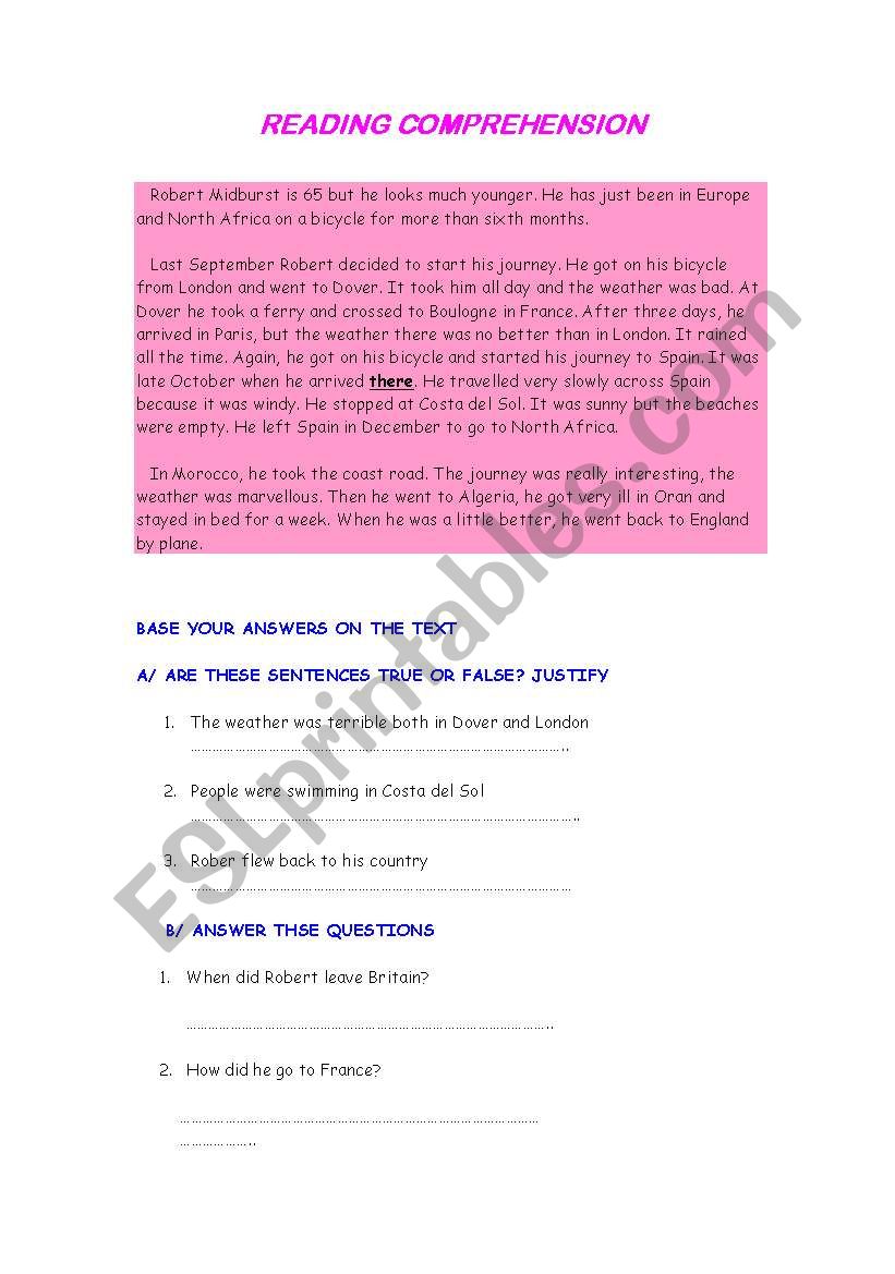 reading comprehension worksheet