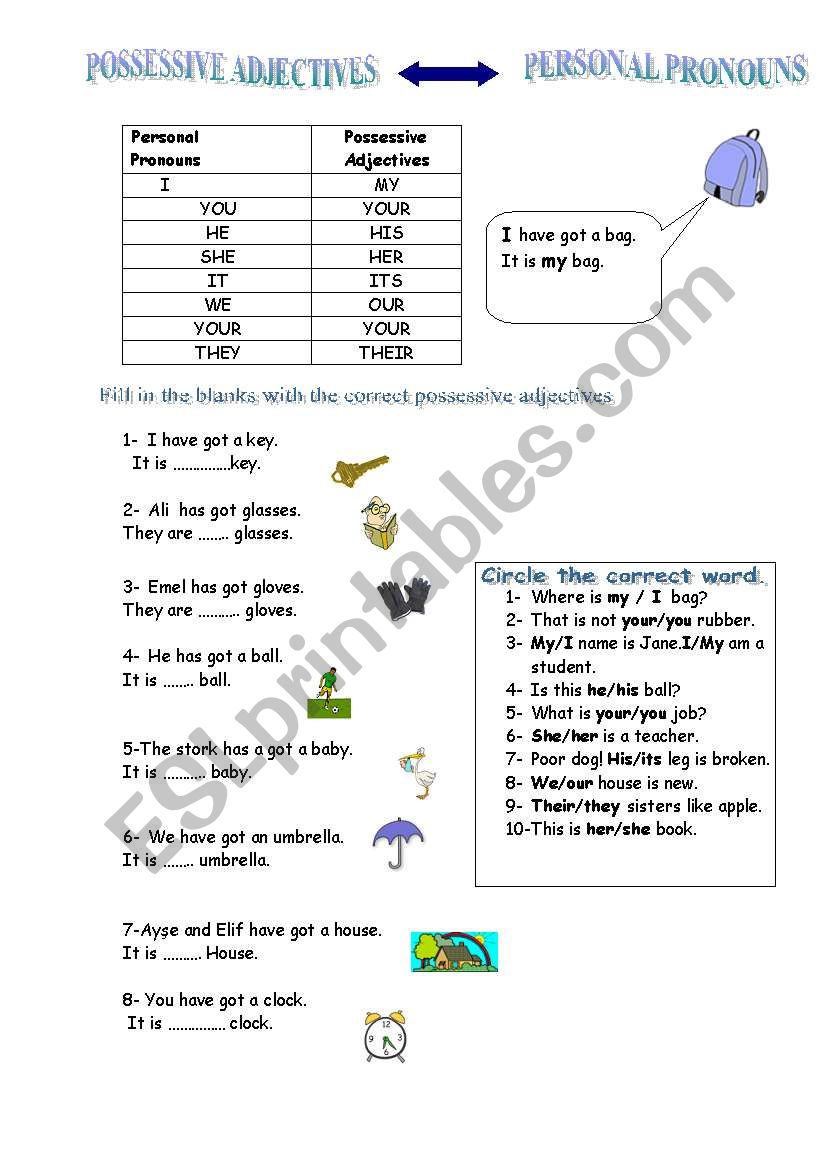 possessive pronouns worksheet