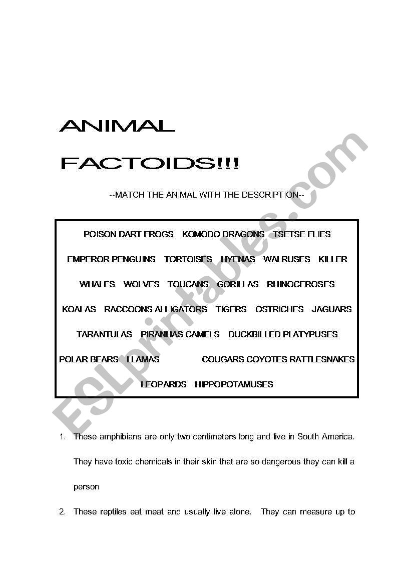 Guessing ANIMALS worksheet