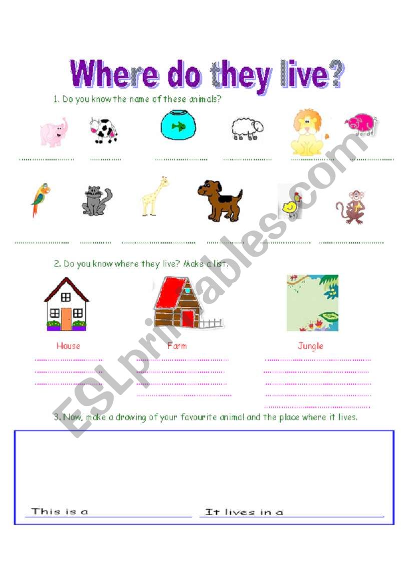 animals worksheet