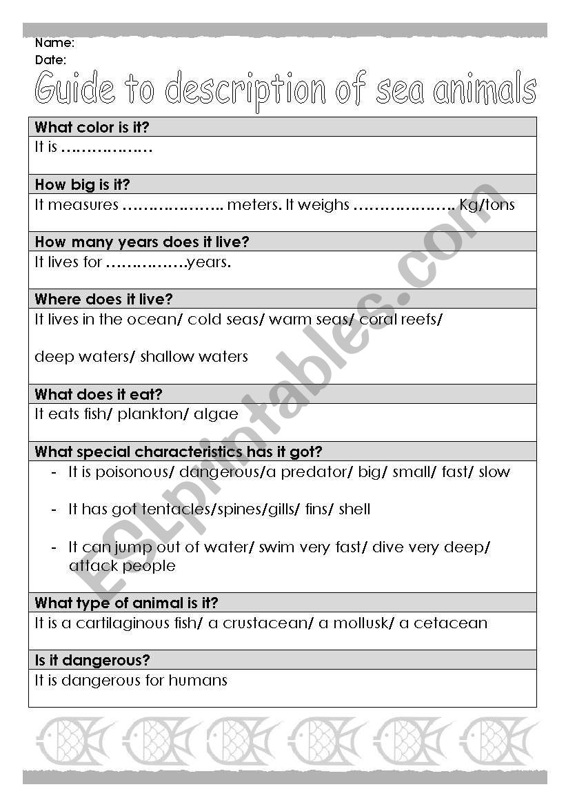 Guide to description of SEA animals