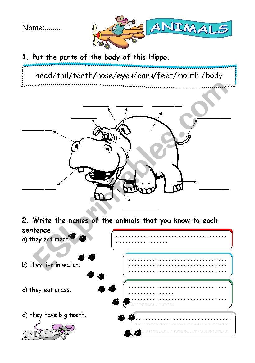 ANIMALS worksheet