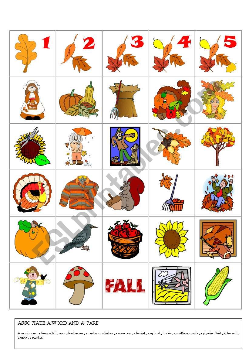autumn flashcards worksheet