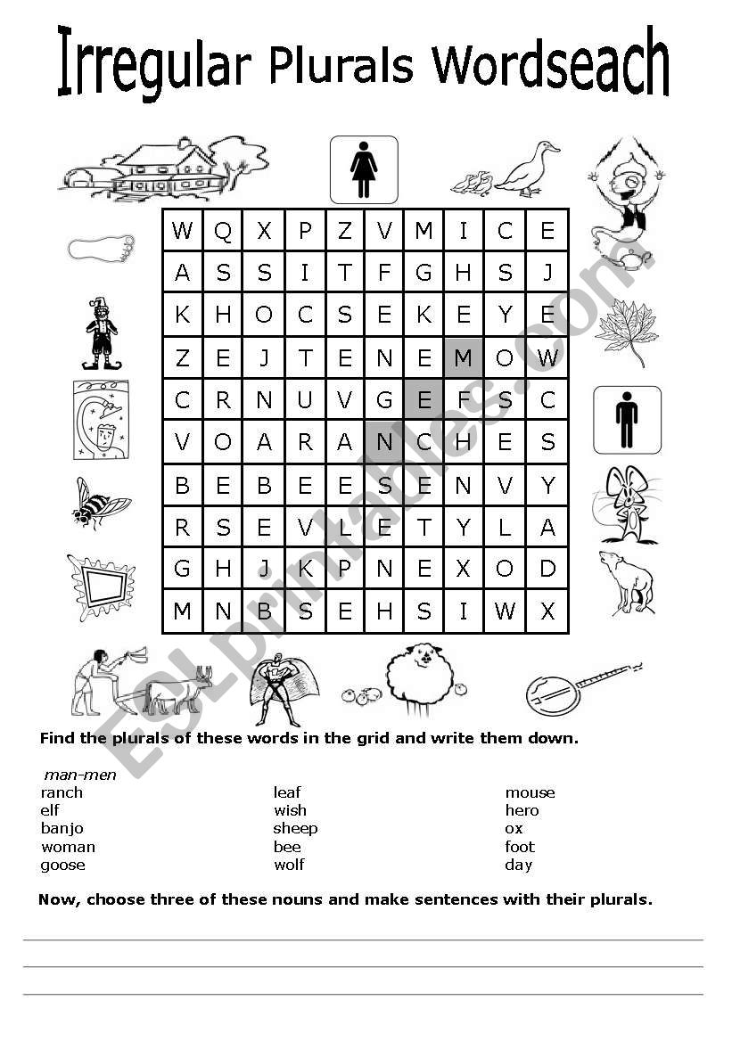 The Plural of Nouns worksheet