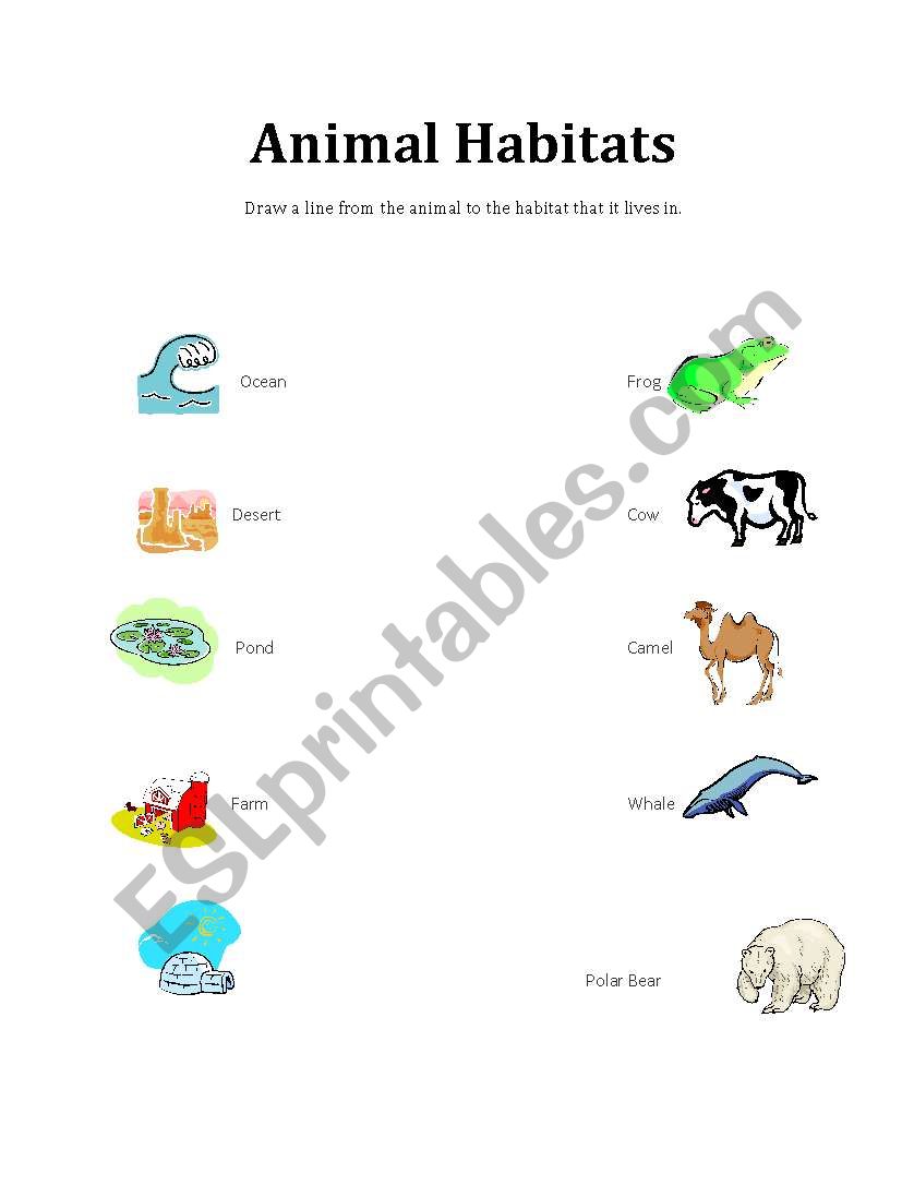 English worksheets Animal Habitats Matching