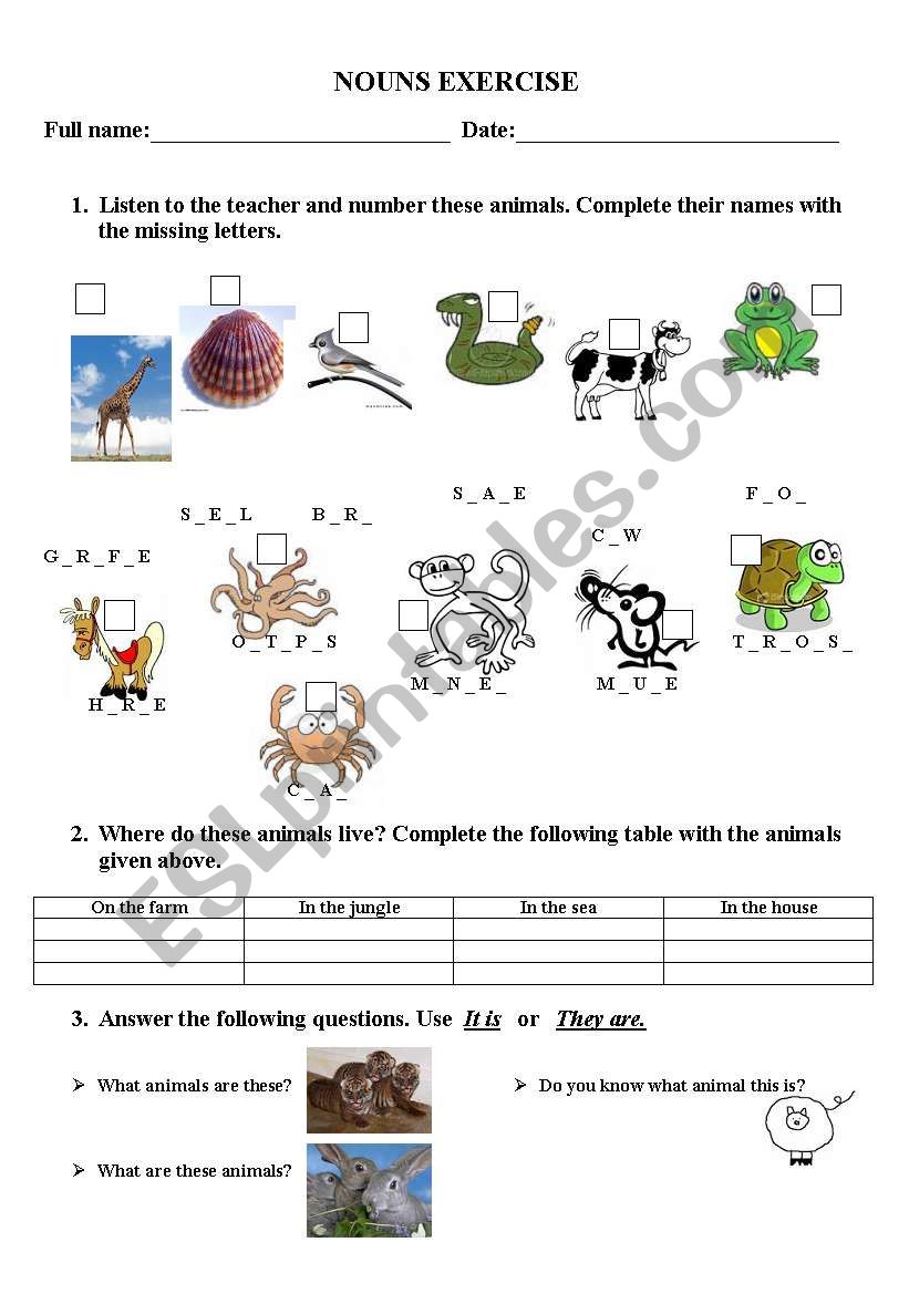 GRAMMAR: NOUNS worksheet