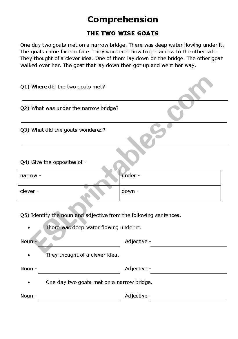 Comprehension worksheet