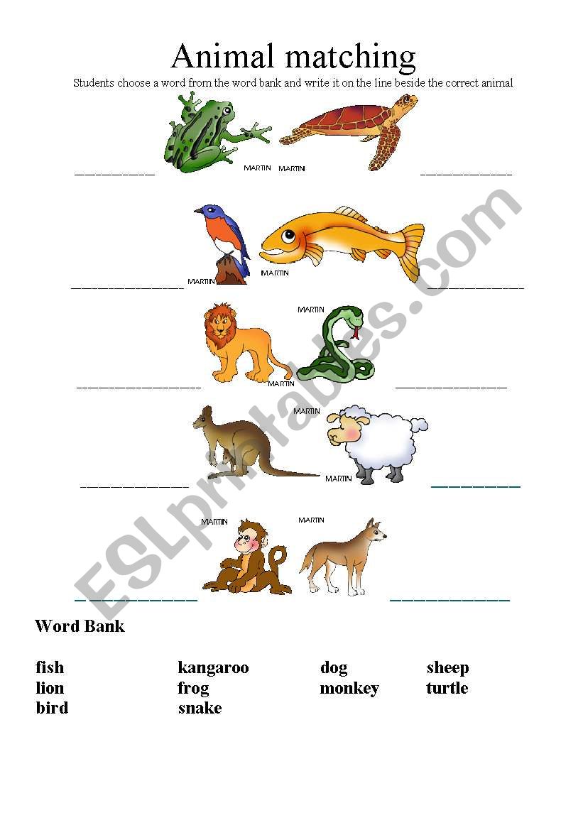 Animals Naming worksheet