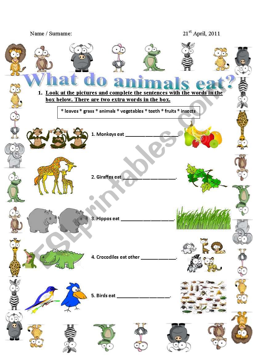 What do animals eat? - ESL worksheet by jane_austen