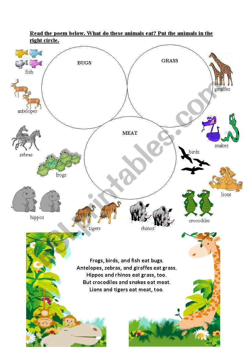 What do these animals eat? - ESL worksheet by jane_austen