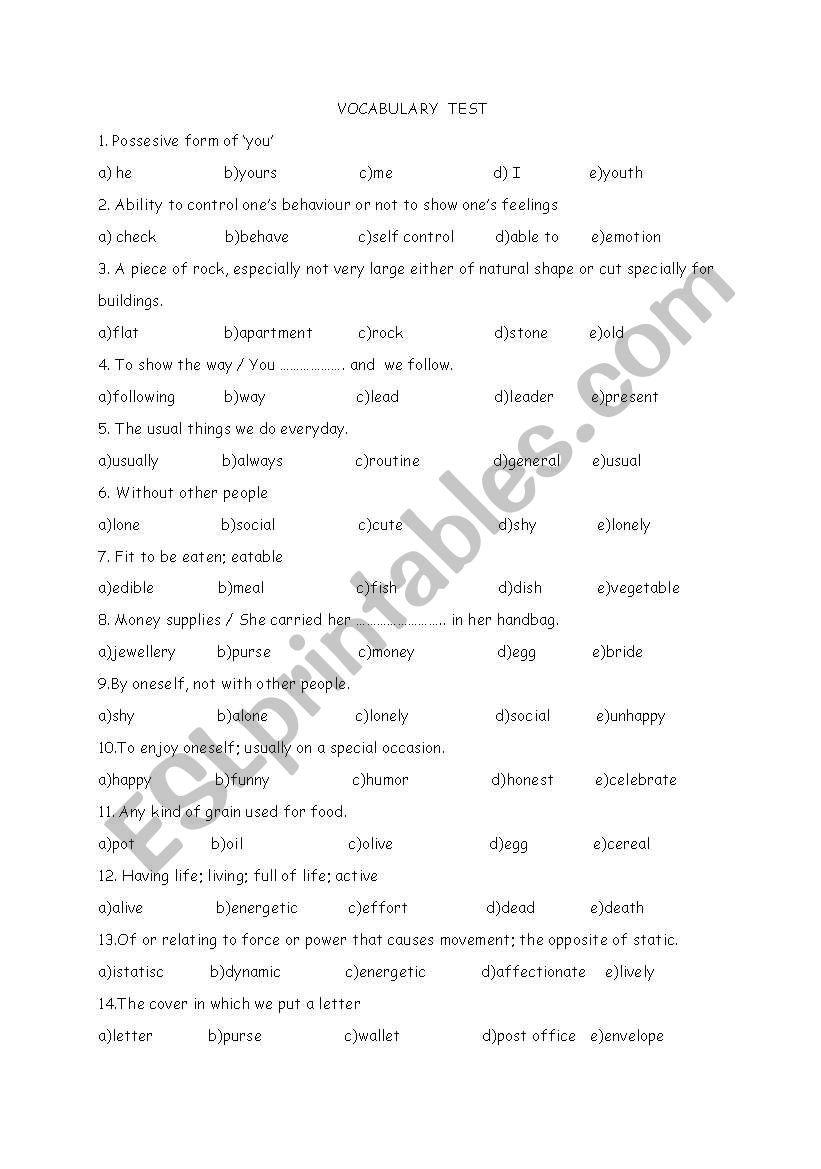 Vocabulary Test worksheet