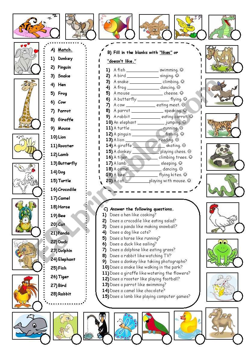 likes / dislikes & animals worksheet