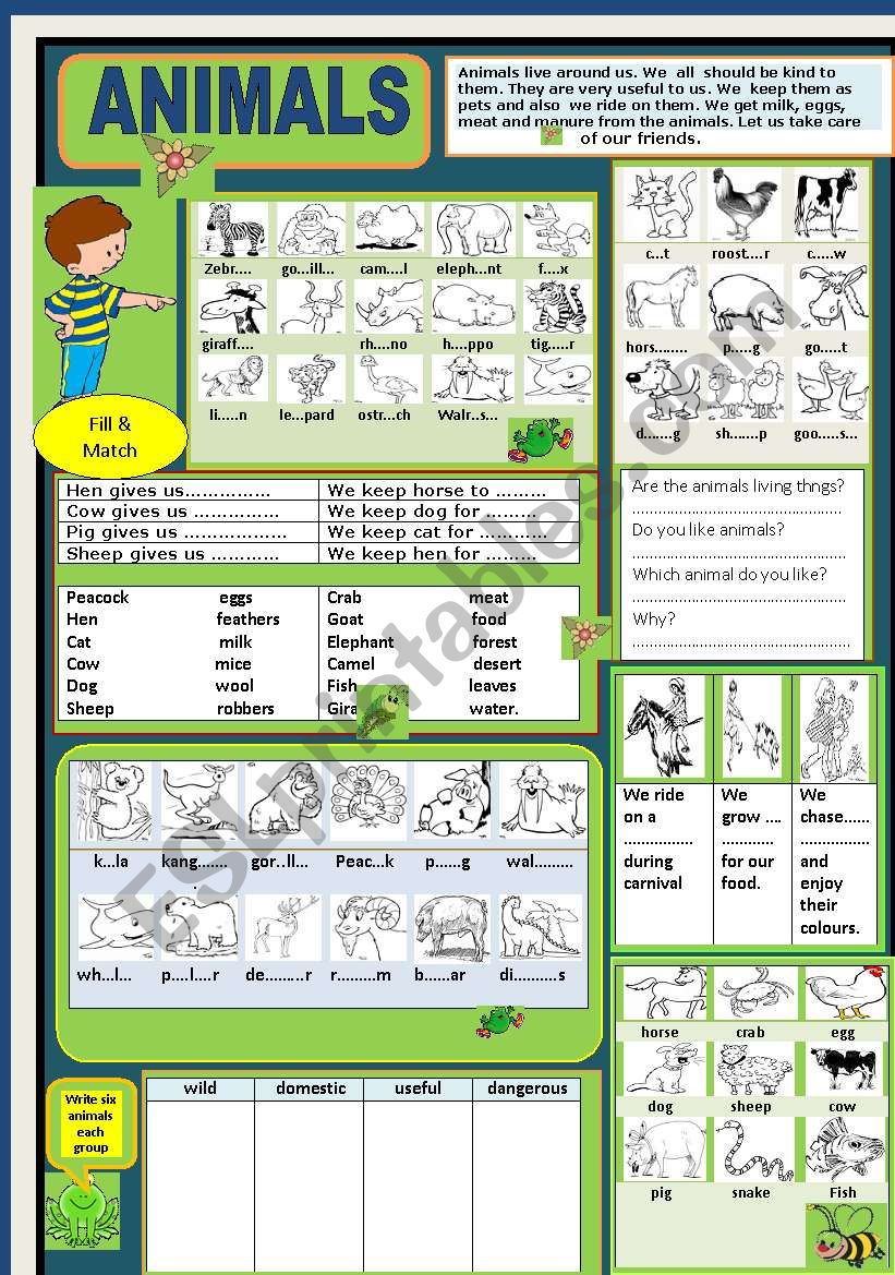 Animals worksheet