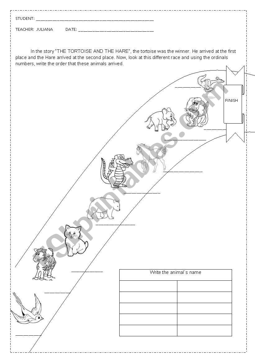 The tortoise and the hare worksheet