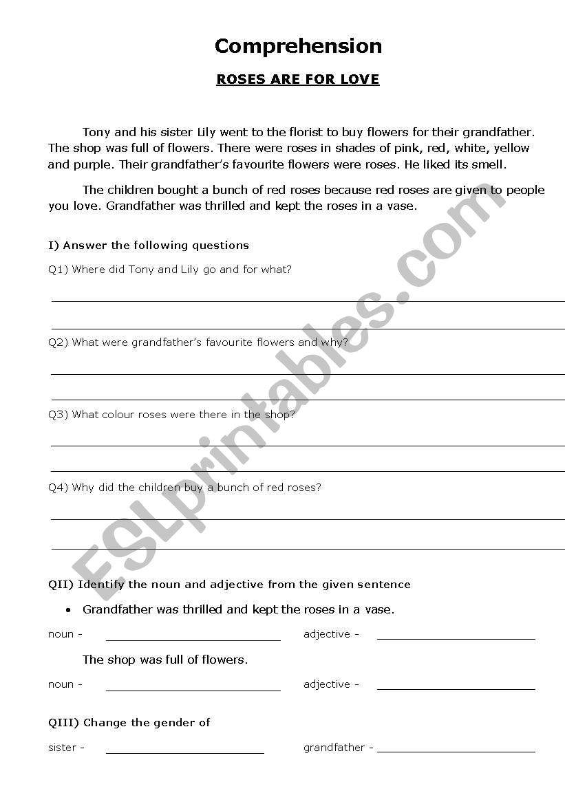 Comprehension worksheet