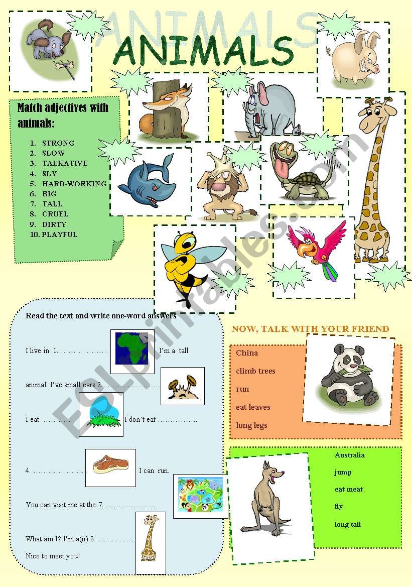 Animals worksheet