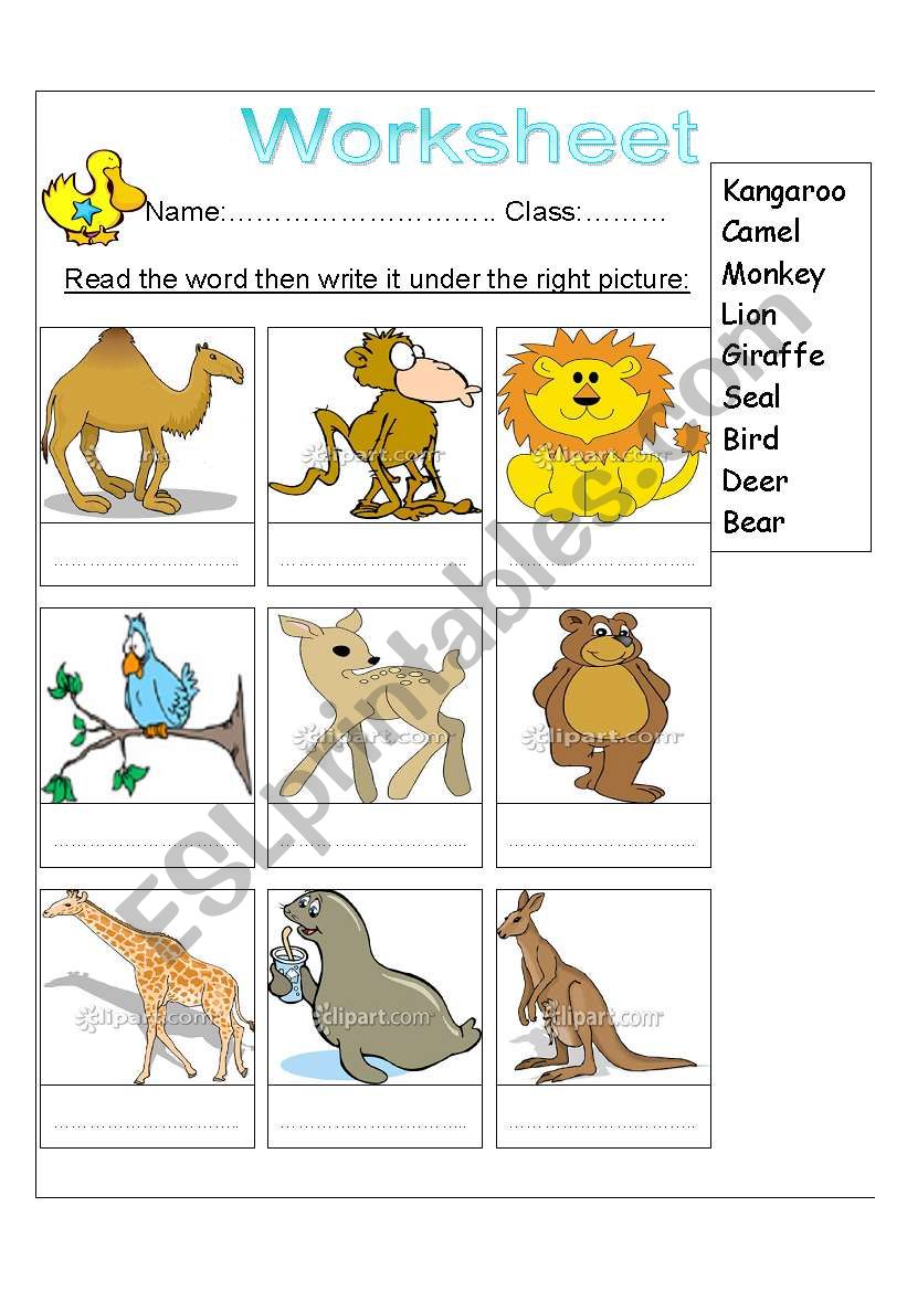 ZOO ANIMALS worksheet