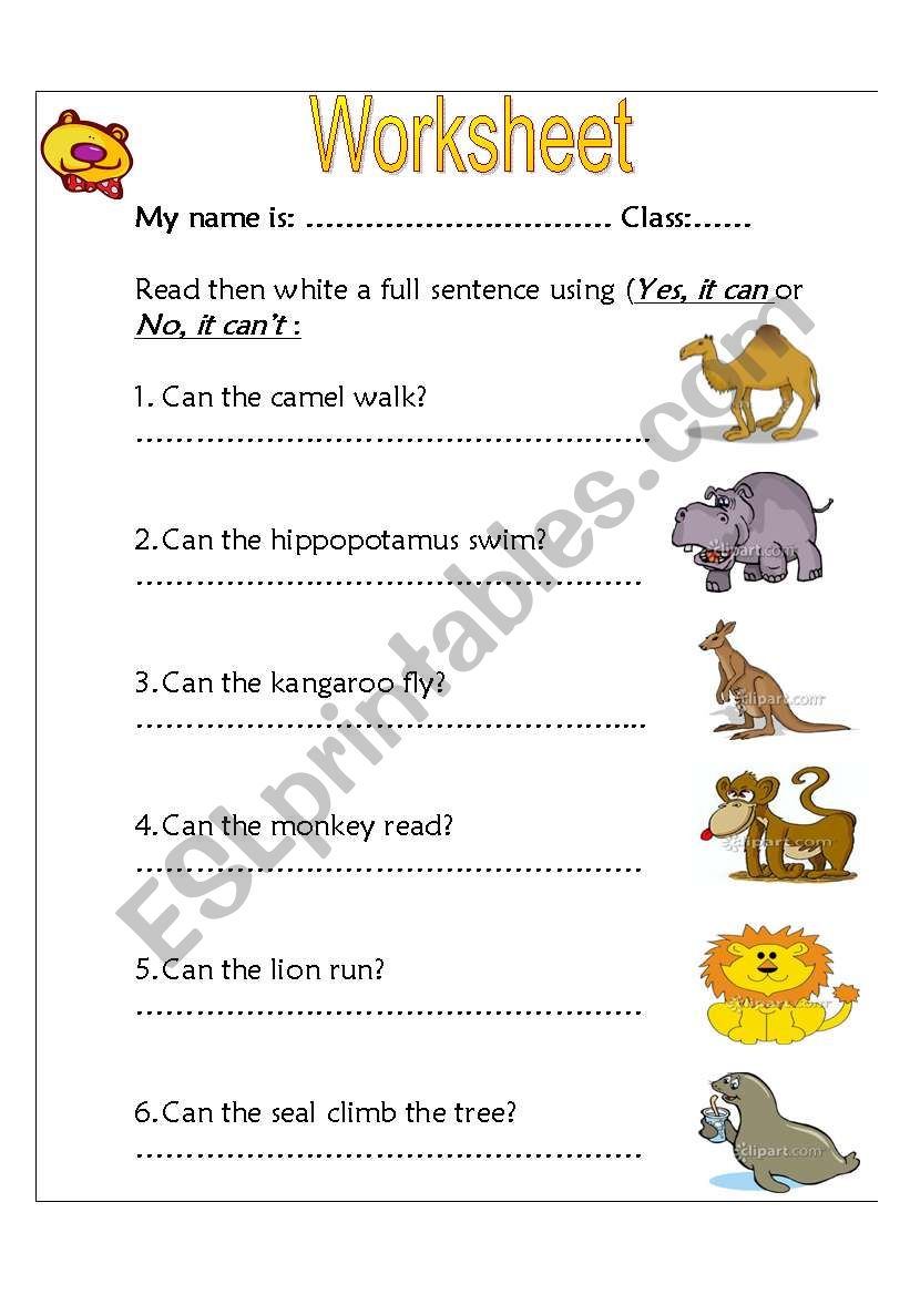 zoo animals worksheet