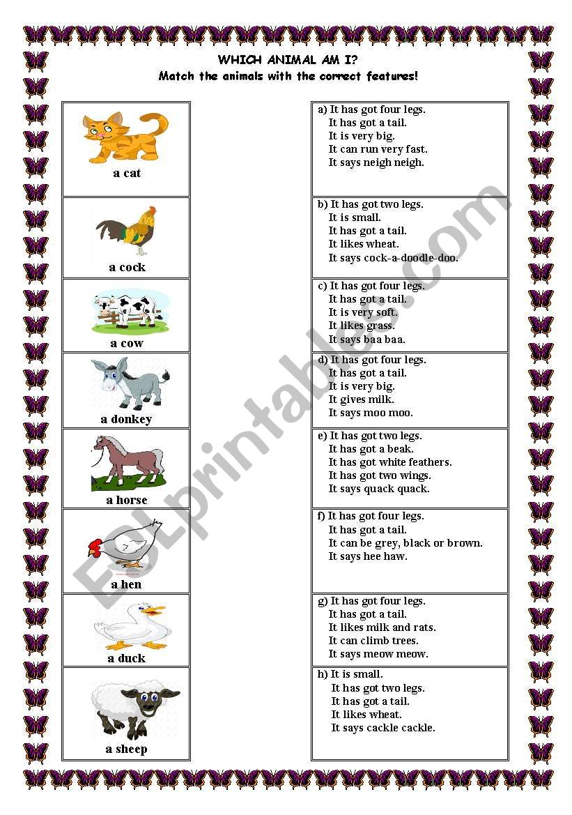 animal matching worksheet