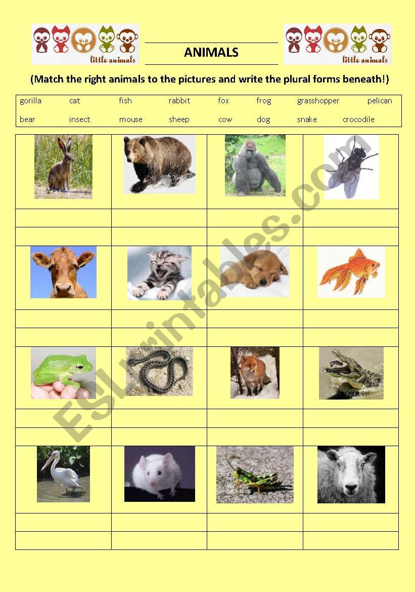 Plurals - animals worksheet