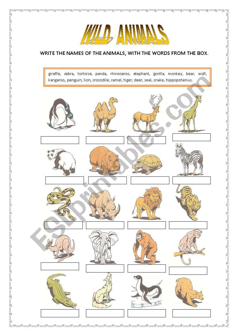 Wild animals worksheet