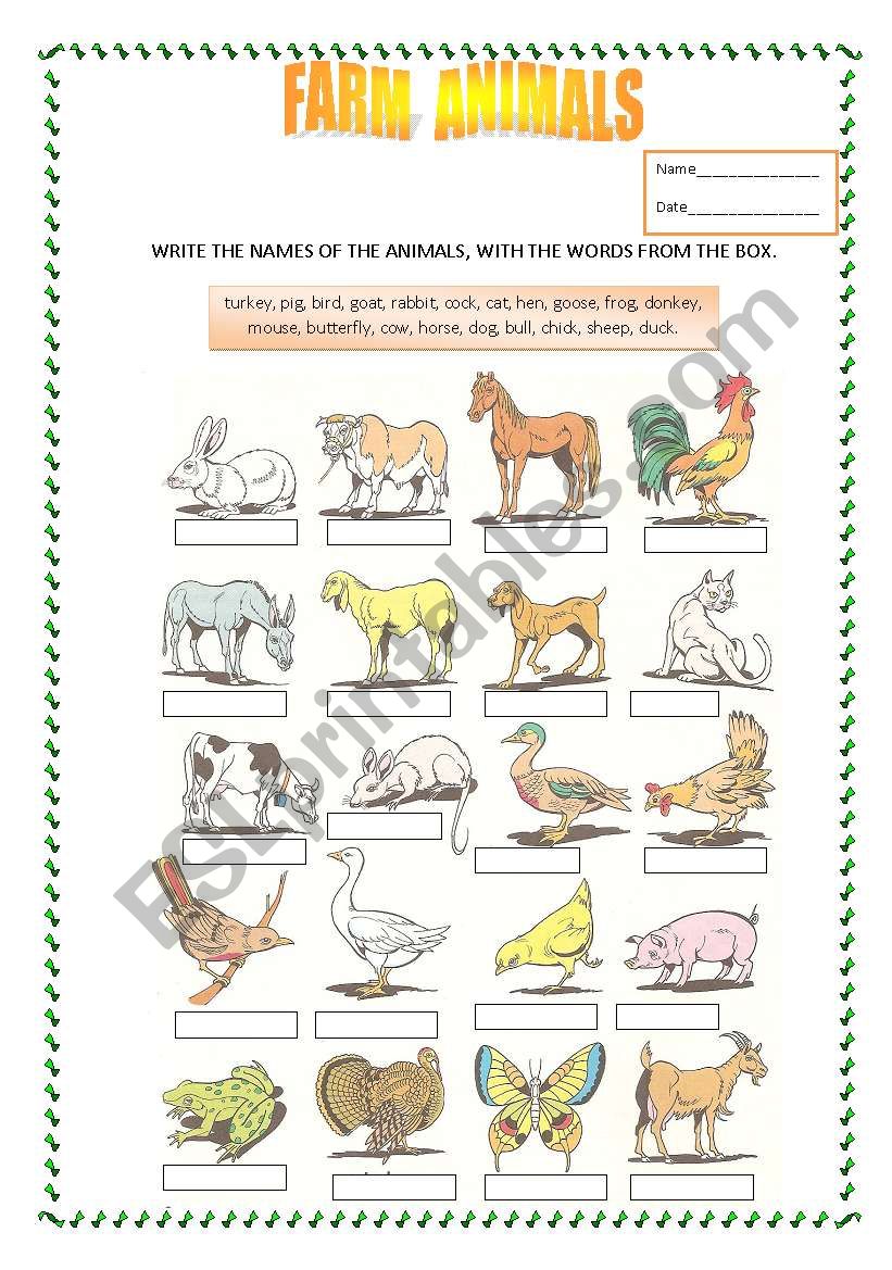 Farm animals worksheet