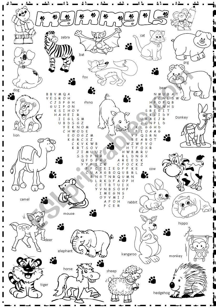 mammals worksheet