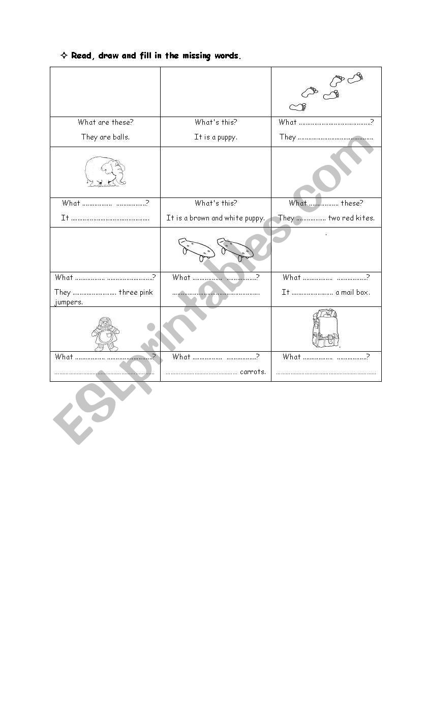 SINGULAR AND PLURAL worksheet