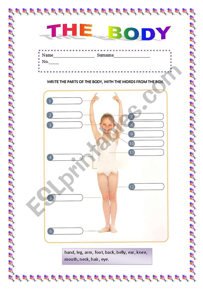 The Body worksheet