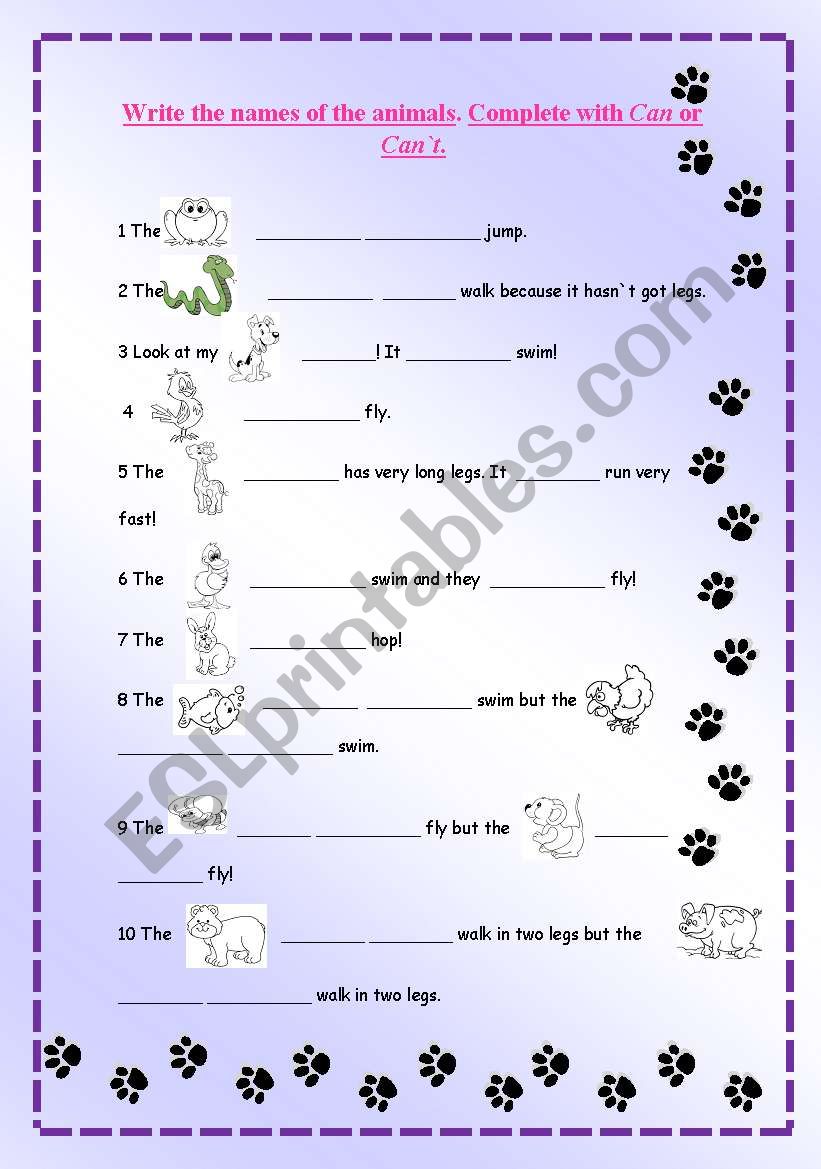 What can anmals do? worksheet