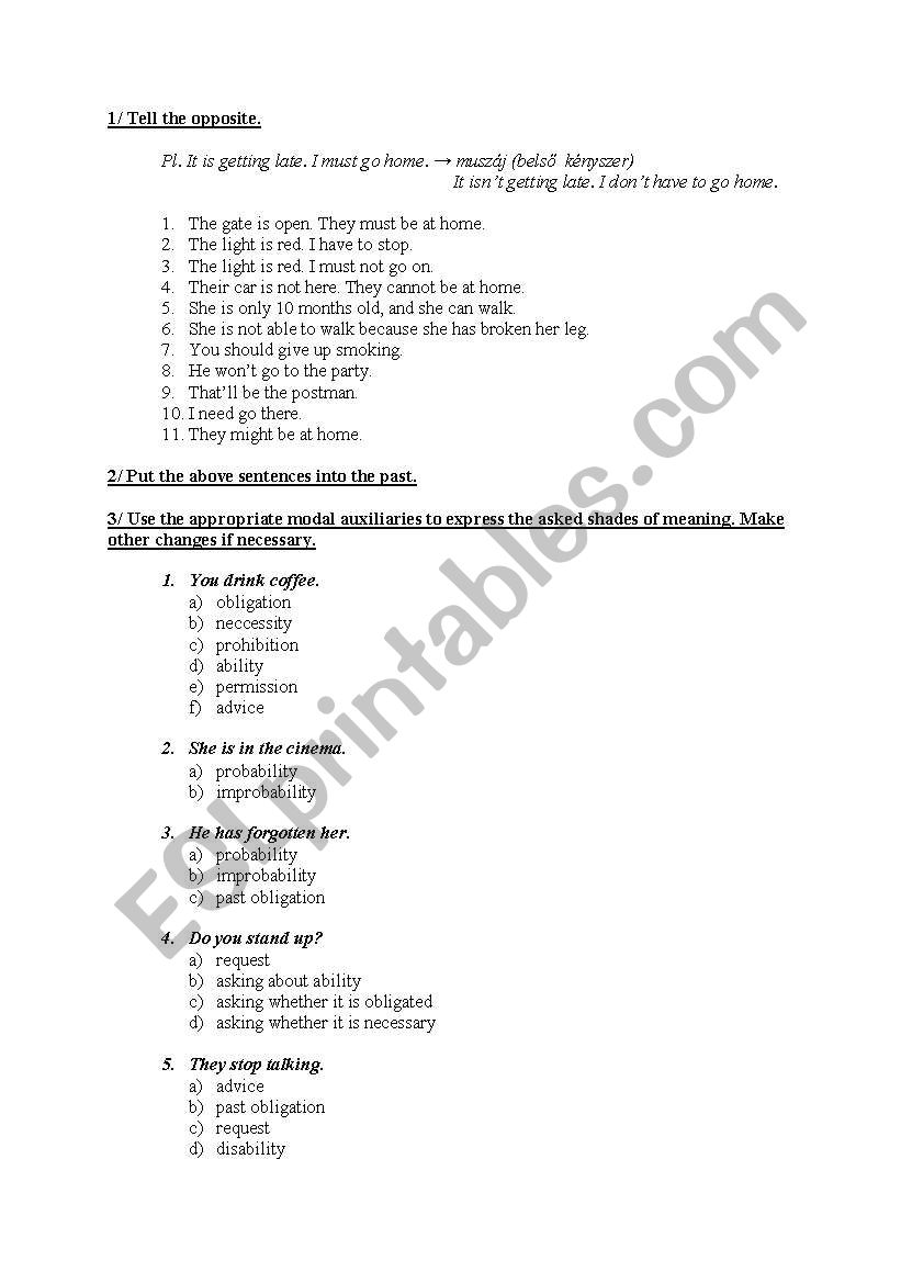 Modal auxiliaries worksheet