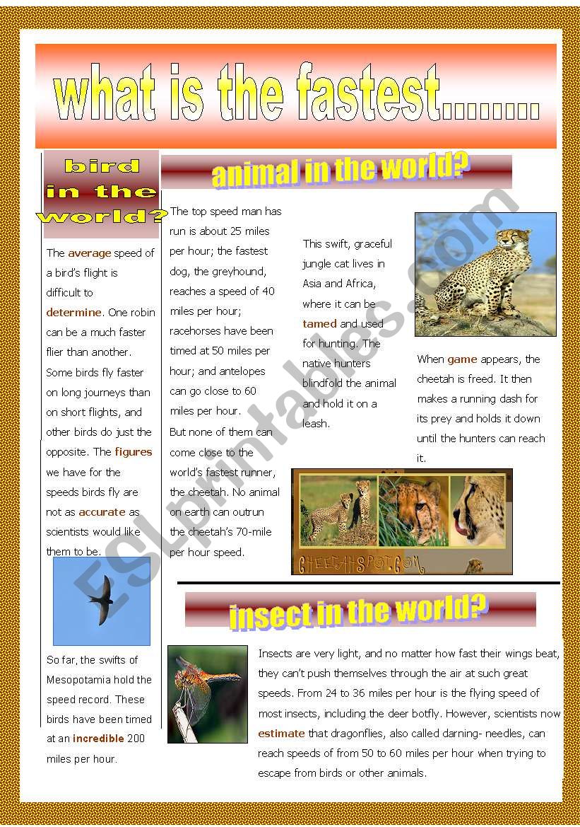 THE FASTEST ANIMALS worksheet