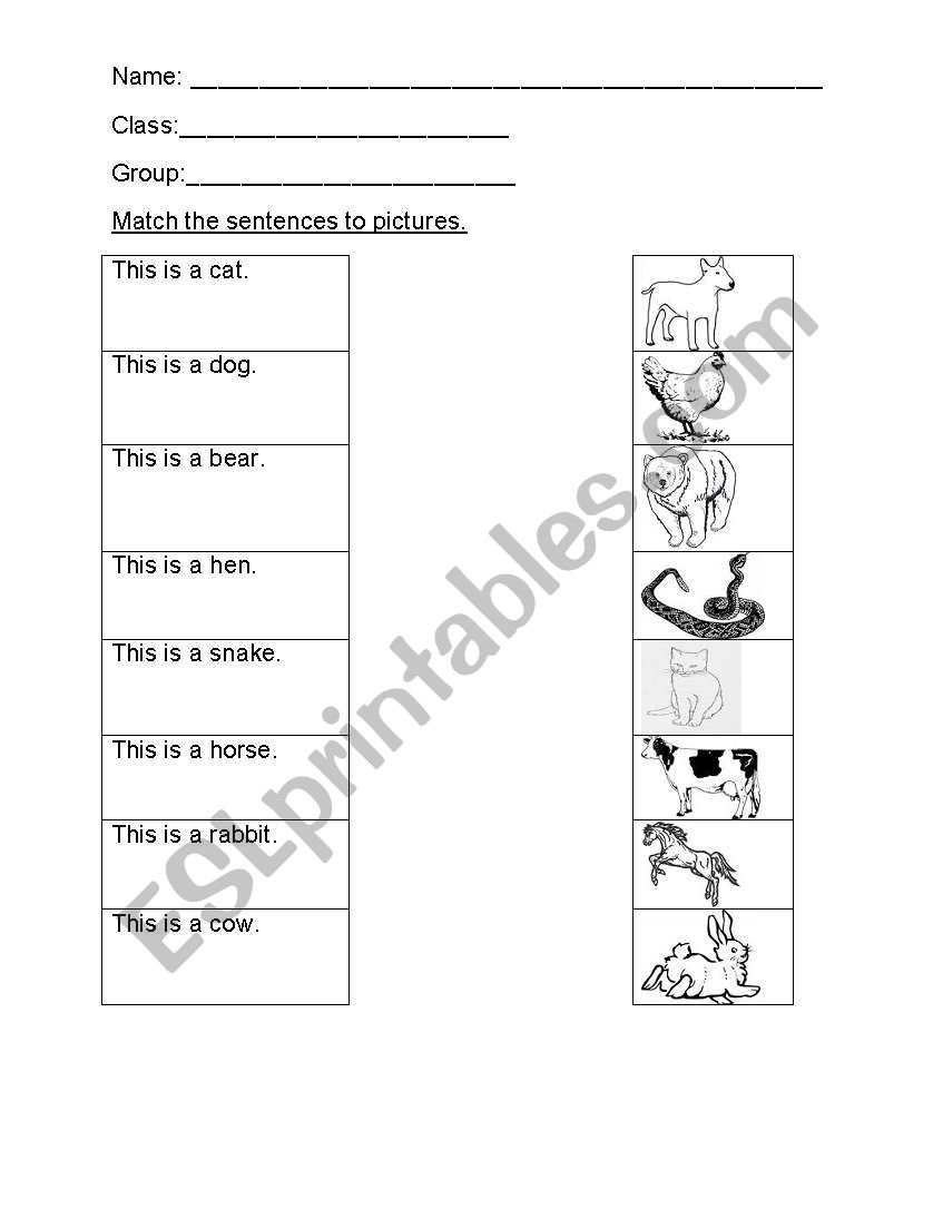 animal worksheet