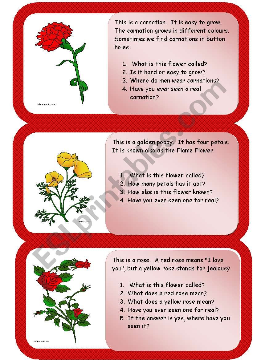 flowers - mini comprehensions worksheet