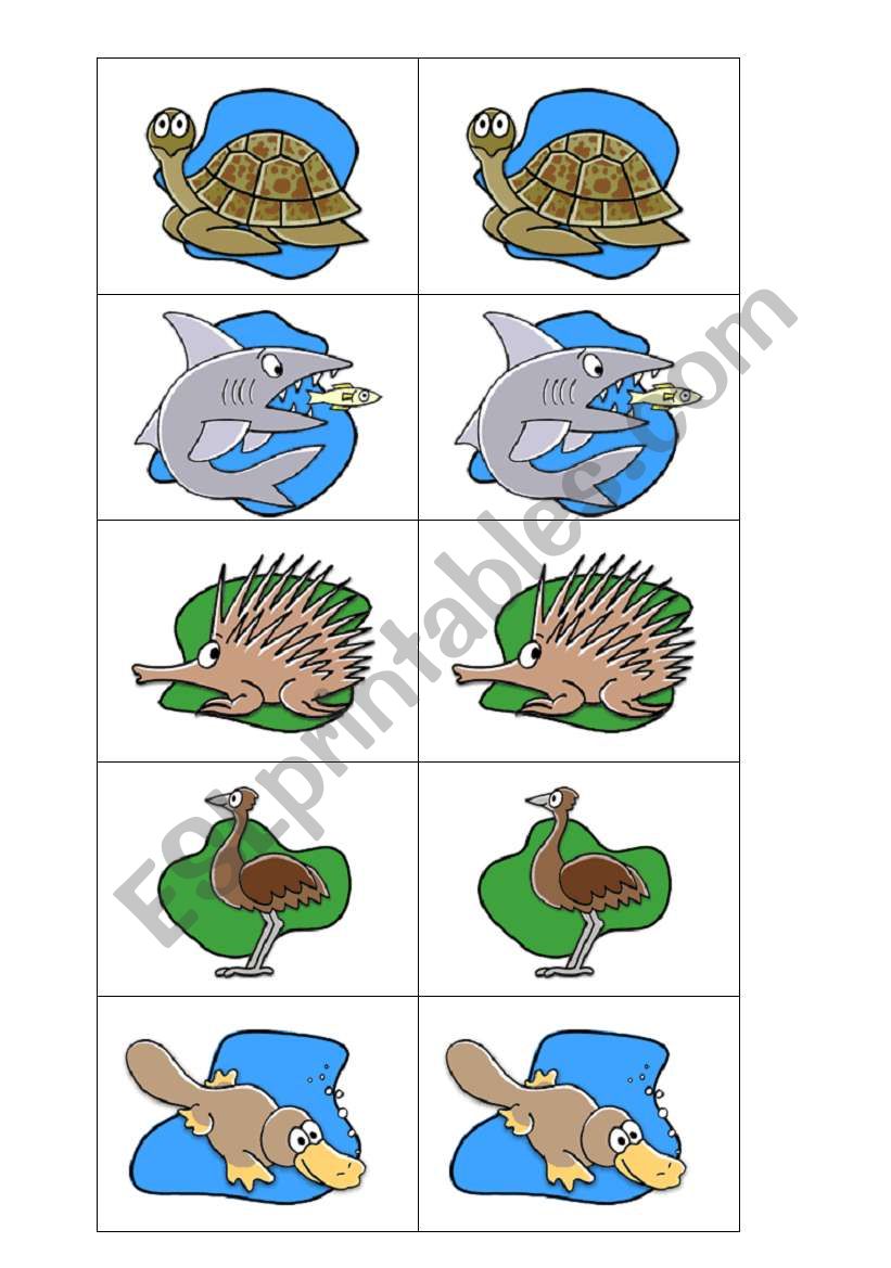 Aussie animals worksheet