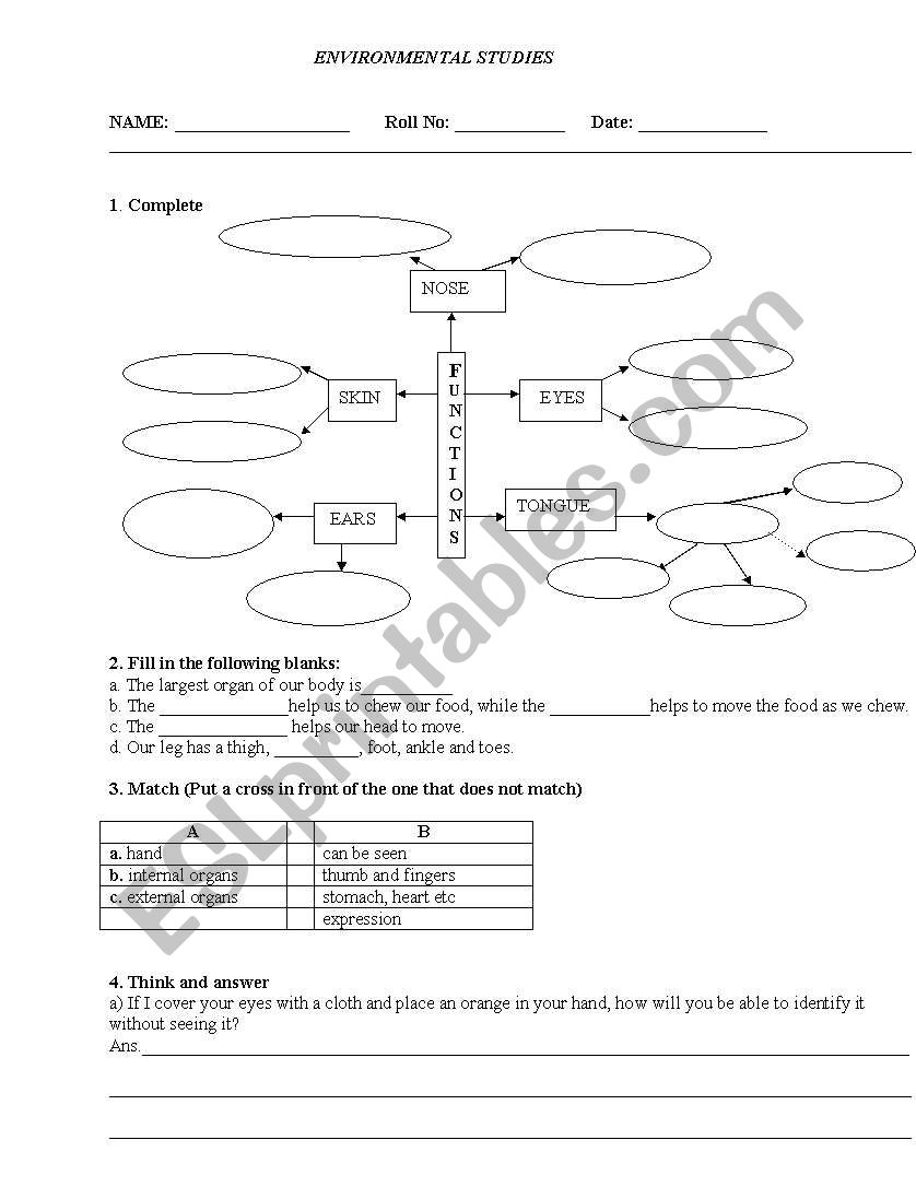 sense organs worksheet