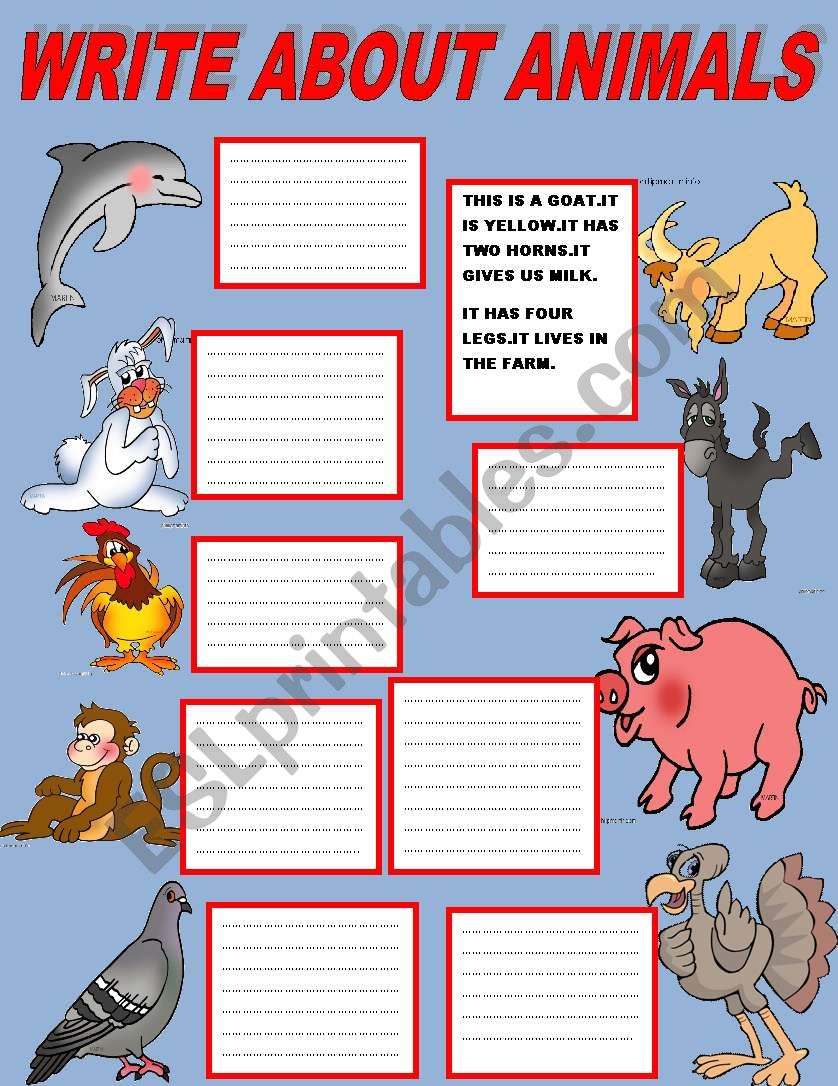 WRITE ABOUT ANIMALS worksheet