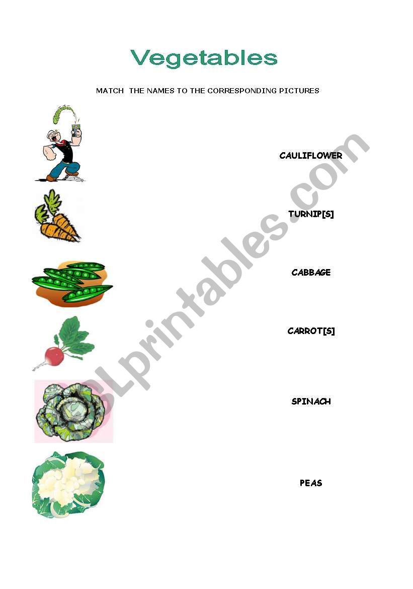 VEGETABLES VEGETABLES worksheet