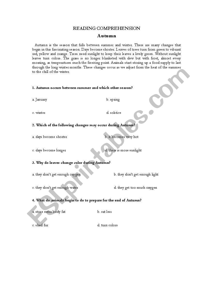 Easy text worksheet